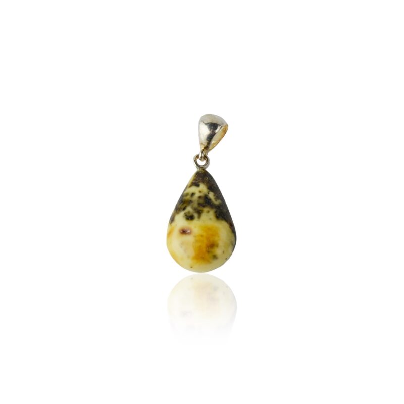 Baltic amber pendant mix color