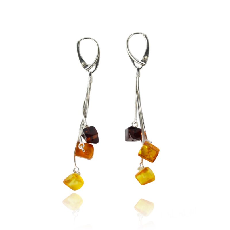 Baltic amber multicolor earrings